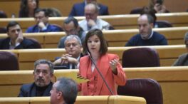 ERC insiste en el Senado en que «el referéndum es inevitable», igual que sucedió con la amnistía