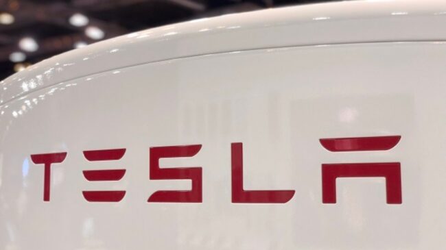 Tesla planea lanzar coches «más asequibles» en 2025 tras reducir un 9% sus ingresos
