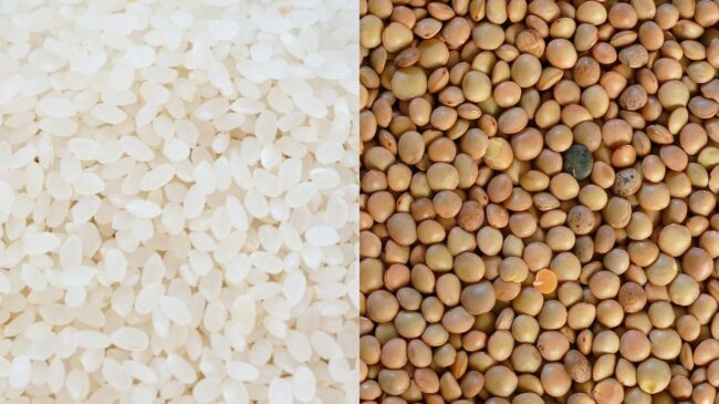 ¿Qué beneficios tiene tomar lentejas con arroz?