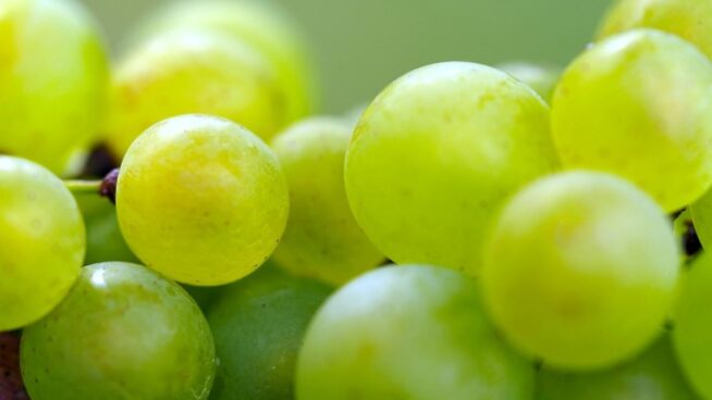 ¿Qué beneficios tiene la uva?