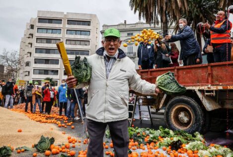 Los agricultores, en pie de guerra con el puerto de Cartagena por bonificar los limones de fuera