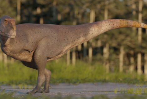 'Koleken', el feroz cazador que reescribe la historia de los últimos dinosaurios