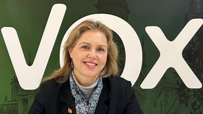 Vox asegura que «hay conversaciones» para entrar en el Ayuntamiento de Sevilla