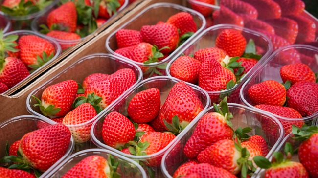 'OKU berry': llega a España la variedad de fresa más cotizada del mundo