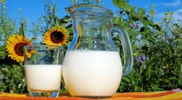 Los beneficios de tomar leche a diario, según los expertos