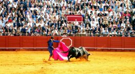 Las Cortes de Castilla y León defenderán el fomento y la protección de la tauromaquia