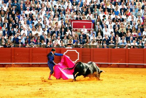 Las Cortes de Castilla y León defenderán el fomento y la protección de la tauromaquia
