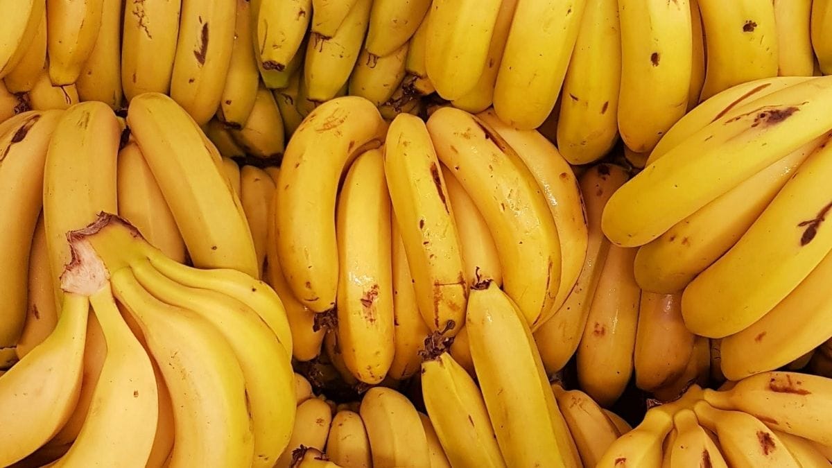¿Cuándo es el mejor momento para comer plátano?