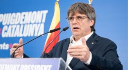 El Constitucional admite el recurso contra el voto delegado de Puigdemont y Puig