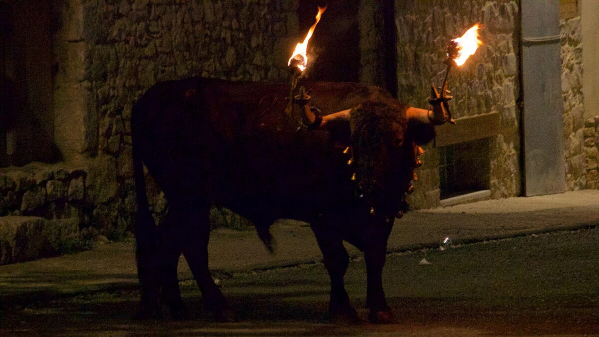 Un toro con las astas en llamas irrumpe en una vivienda durante un festejo en Castellón