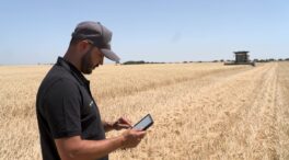 Grupo Gallo colabora en un proyecto de agricultura con Inteligencia Artificial para mejorar la producción de cereales
