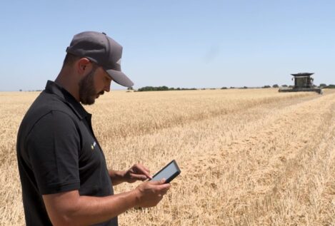 Grupo Gallo colabora en un proyecto de agricultura con Inteligencia Artificial para mejorar la producción de cereales