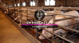 En Sumario de tarde: de la financiación singular de Cataluña a los aranceles a la carne de cerdo