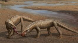 Descubierto en Brasil un pequeño reptil depredador del Triásico parecido al cocodrilo