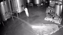 Detenida una mujer por presunto sabotaje a una bodega y derramar 60.000 litros de vino