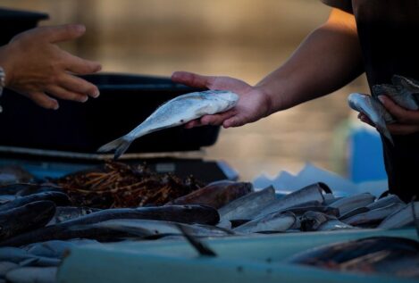 Los pescados que no debes comprar: los médicos no los recomiendan