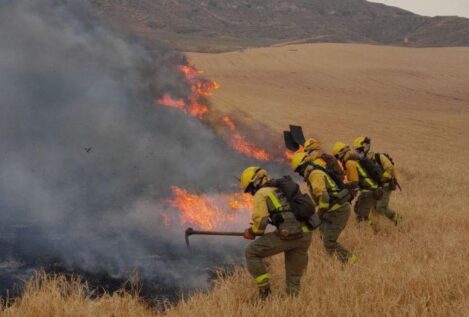 Un «aparatoso» incendio en Alcalá de Henares amenaza con quemar varias hectáreas