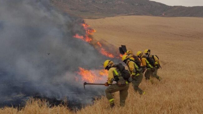 Un «aparatoso» incendio en Alcalá de Henares amenaza con quemar varias hectáreas