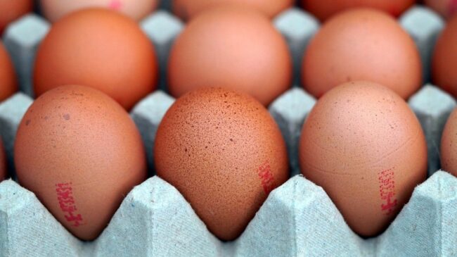 Los huevos frescos deben guardarse directamente en la nevera, según la OCU