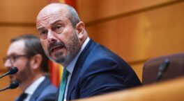 El Senado: otros dos informáticos accedieron de manera lícita a material de varios senadores