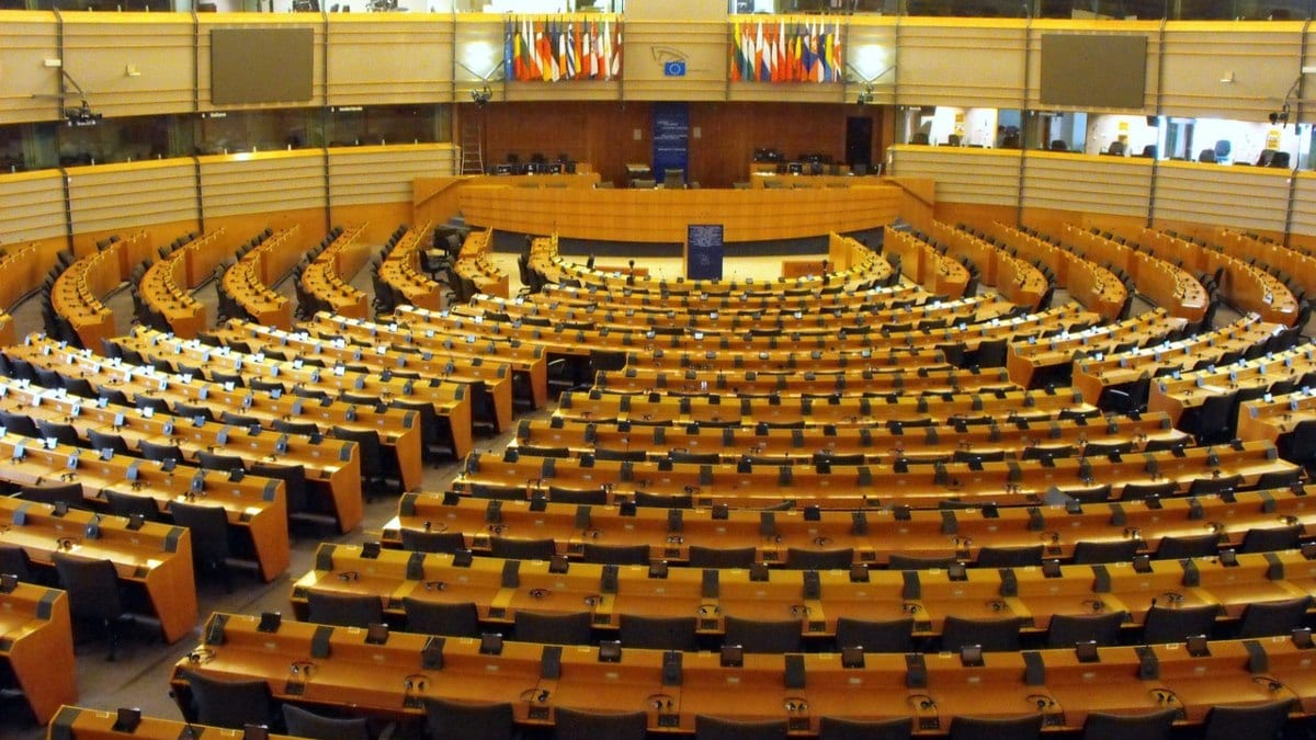 Elecciones europeas 2024: las relaciones de los diputados según su afiliación política