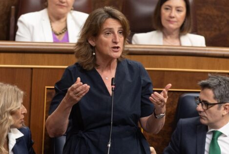 Teresa Ribera aclara en el Congreso que no recogerá su acta de eurodiputada