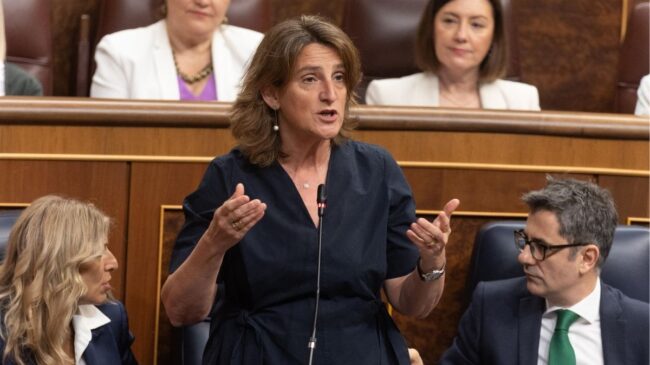 Teresa Ribera aclara en el Congreso que no recogerá su acta de eurodiputada