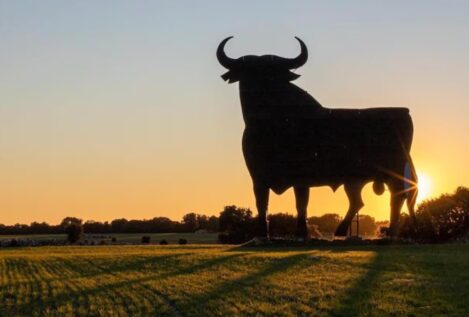 Toro de Osborne: por qué están en las carreteras y en qué ciudades siguen existiendo