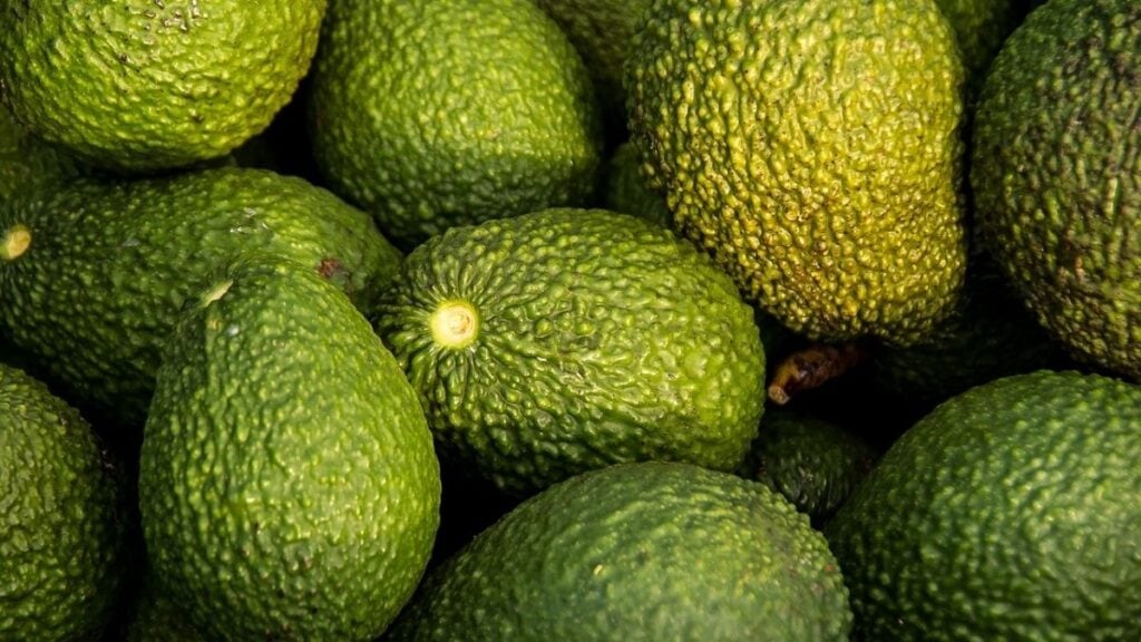 beneficios aguacate