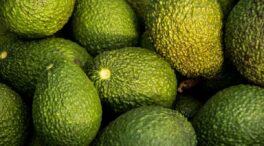 ¿Qué beneficios aporta el aguacate para la salud?