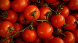 ¿Se puede comer tomate si tienes ácido úrico?