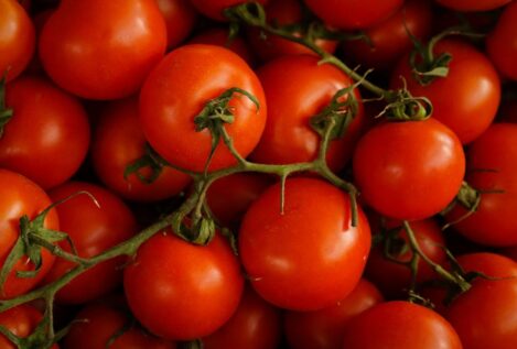 ¿Se puede comer tomate si tienes ácido úrico?