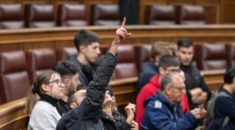 El Congreso abre las puertas para conmemorar las primeras elecciones tras la dictadura