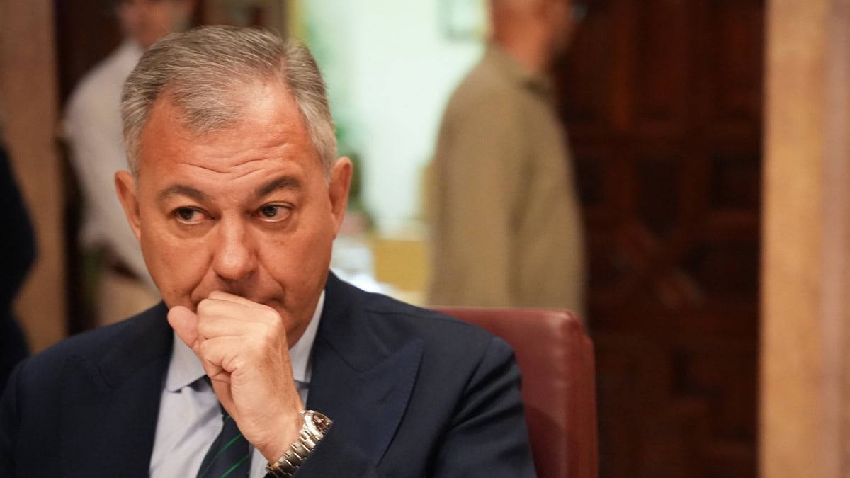 Andalucía sancionará a Endesa con hasta dos millones de euros por «anomalías graves»