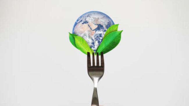 Día de la Gastronomía Sostenible: qué significa y cómo podemos colaborar