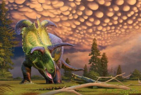 Hallado un nuevo dinosaurio con cuernos gigantes