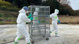 Europa se prepara para una posible pandemia de gripe aviar y compra 665.000 vacunas