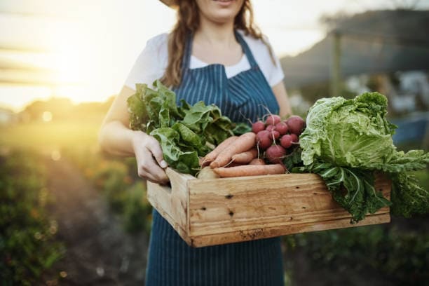 Verduras. 
iStock