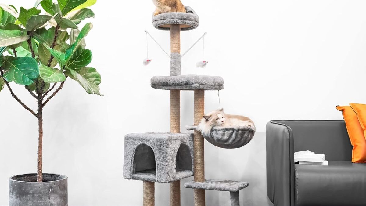 El árbol rascador para gatos más vendido de Amazon está tirado de precio: ¡cuesta menos de 40€!