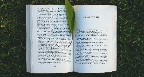 Los cinco libros de empresa imprescindibles para este verano