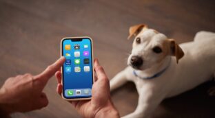 Te contamos por qué Allianz Mascotas es el nuevo seguro para perros que todos quieren