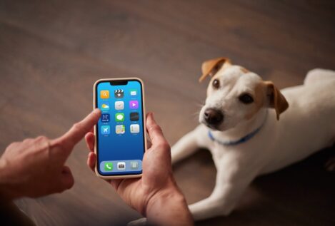 Te contamos por qué Allianz Mascotas es el nuevo seguro para perros que todos quieren