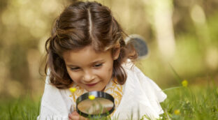 Biomímesis: imitar la naturaleza para preservarla