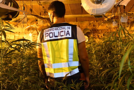 Las plantaciones de marihuana en barrios de Almería obligan a Endesa a triplicar la potencia