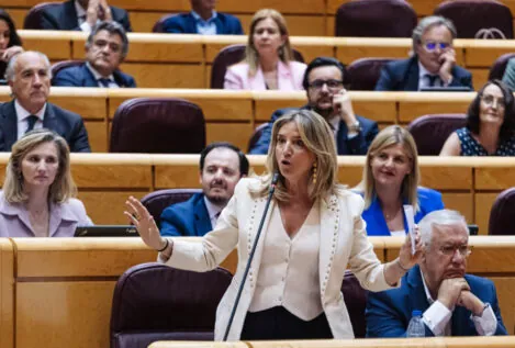 El PP obliga al Gobierno a responder en el Senado sobre el hermano de Pedro Sánchez