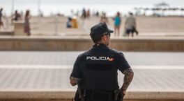 Cuatro detenidos con 6.500 plantas de marihuana en El Ejido (Almería)