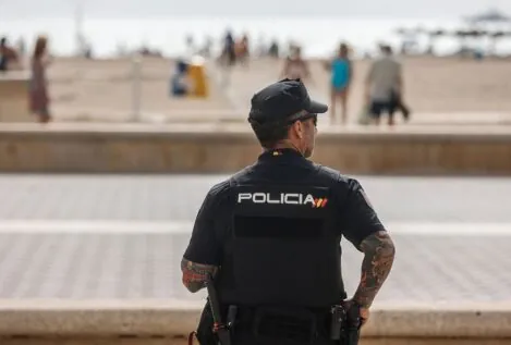 Cuatro detenidos con 6.500 plantas de marihuana en El Ejido (Almería)