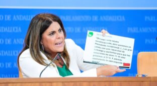 El PSOE acusa a Juanma Moreno de no ganar «limpiamente»: «Llegó al poder por una cacería»