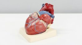 ¿Sentir los latidos del corazón es normal en un corazón sano?