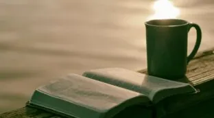 Empatía, imaginación, reserva cognitiva, concentración… Los mil y un beneficios de leer